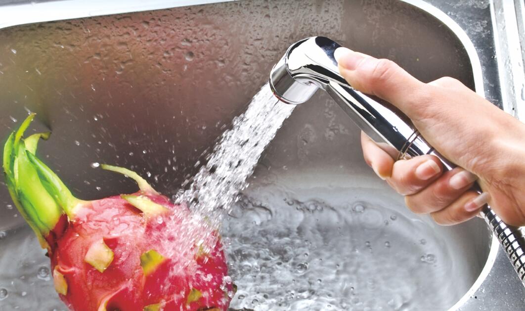 Bidet-WC-Sprühkopf-Hand-Bidet-Sprühgerät