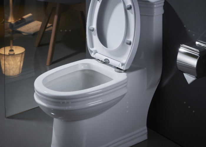 So lösen Sie das Problem der fehlenden Saugkraft in der Toilette